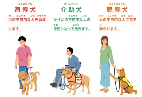 盲導犬は目の不自由な人を誘導します。介助犬はからだの不自由な人の手足となって働きます。聴導犬は耳の不自由な人におとを知らせます。