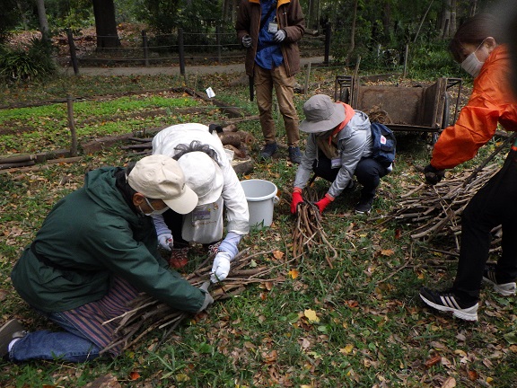 R5そだ柵つくり