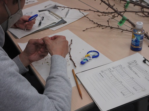 R5サクラ保全事業報告会