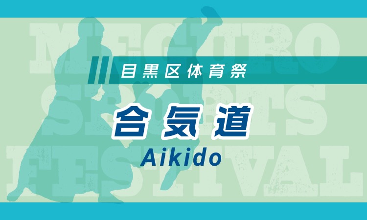  MSF_Aikido_BN