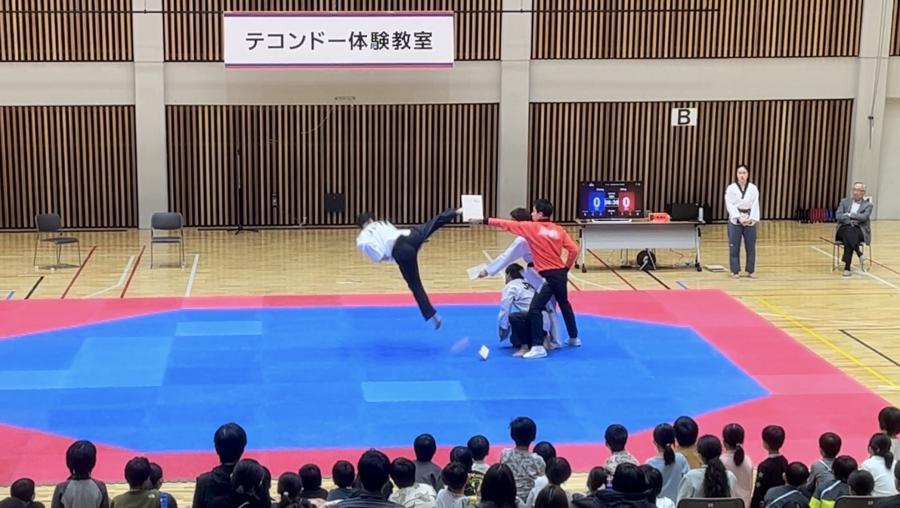 taekwondo-demonstration