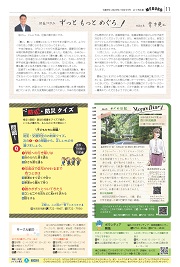 11面イメージ