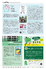 14面イメージ