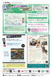 12面イメージ