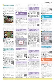 第9面