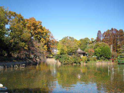 碑文谷公園の写真