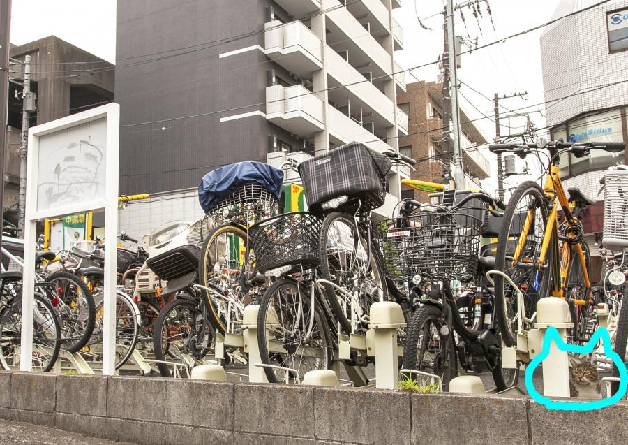 10猫展（答え）