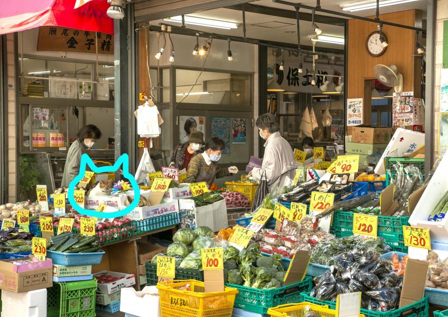 11猫展（答え）