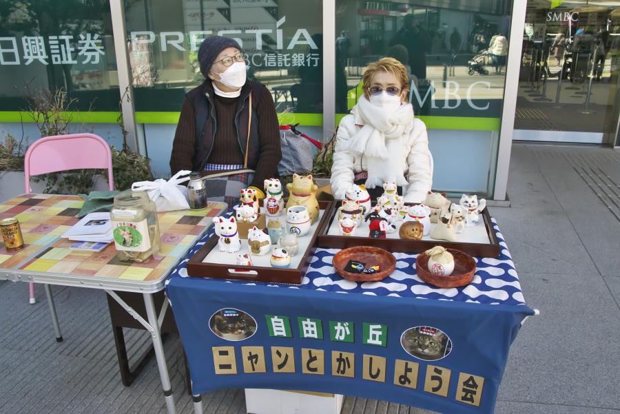 自由が丘ニャンとかしよう会