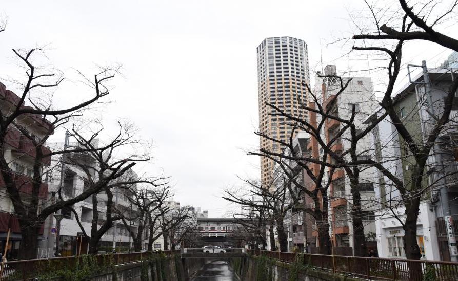 目黒川から中目黒駅を望む様子