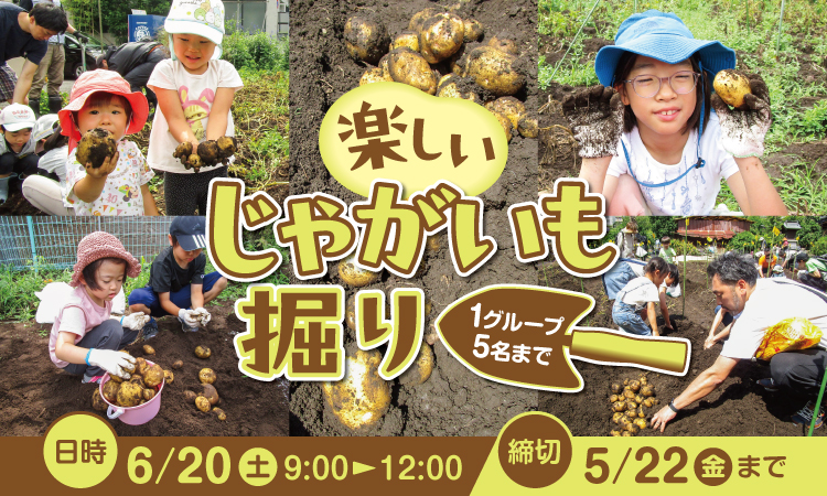 じゃがいも掘り