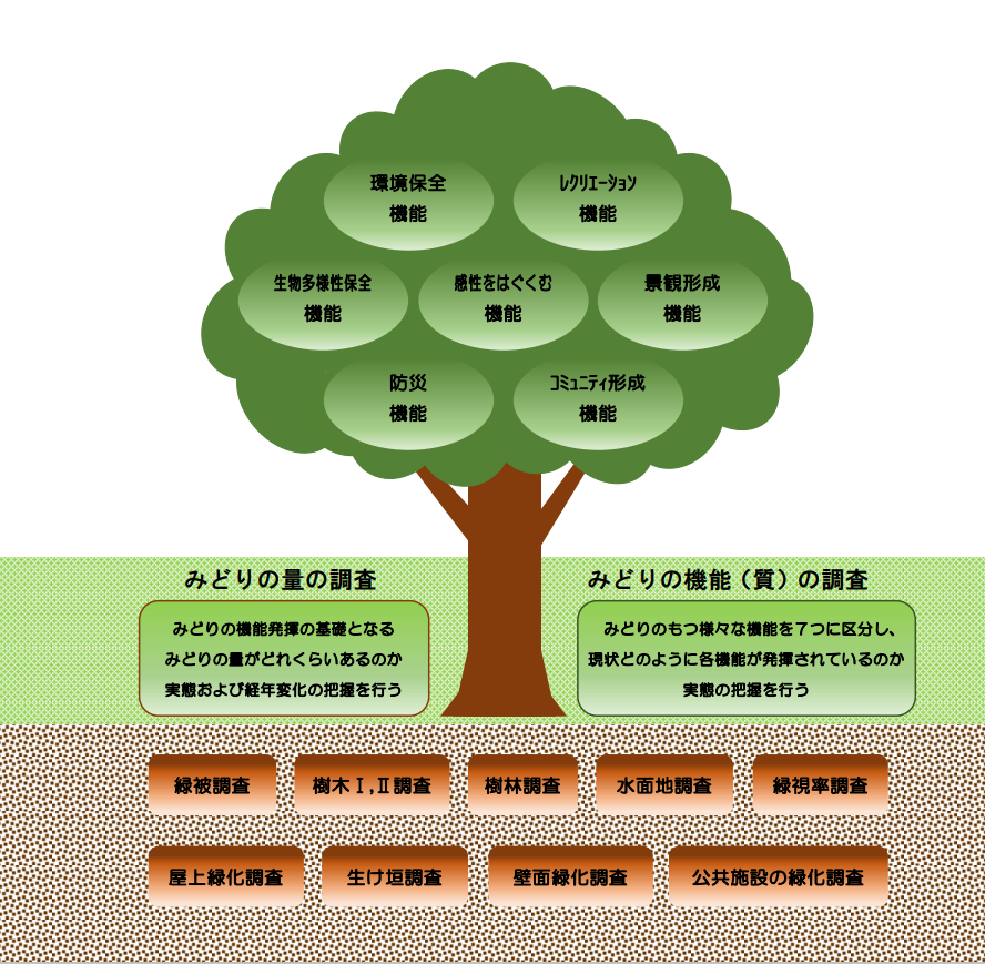 みどりの機能と調査内容