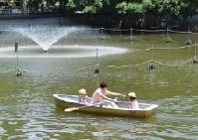 ボートを漕ぐ写真