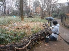 林縁部のそだ柵