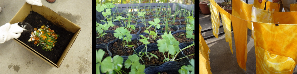 令和6年度エコ園芸
