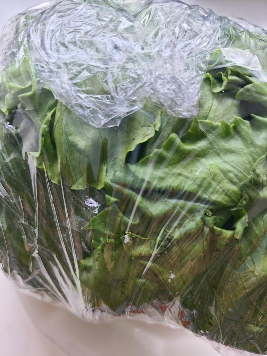 ラップで包んだレタスの画像