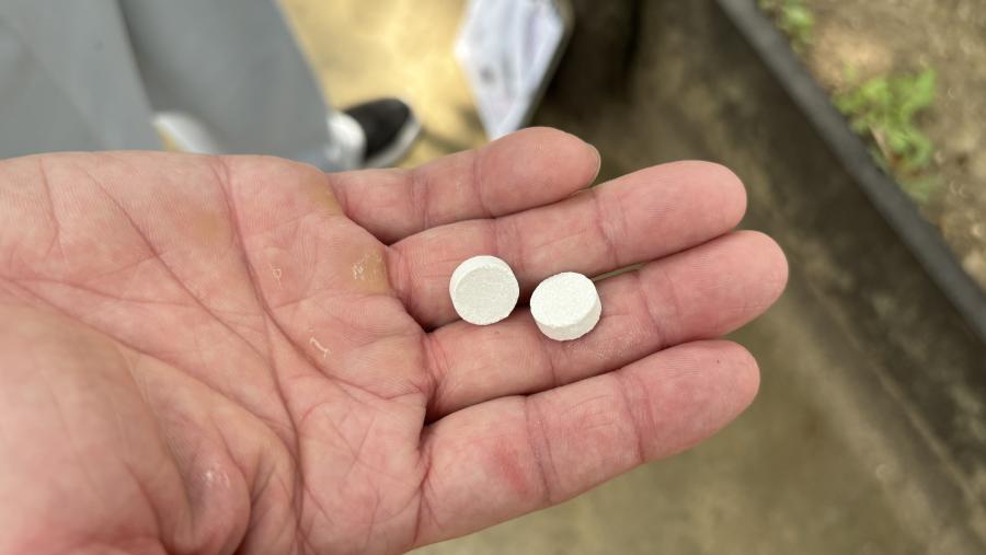 アーススミラブ発泡錠の錠剤の写真