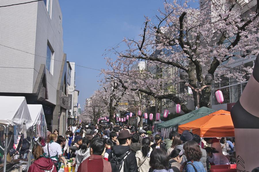 自由が丘桜まつり