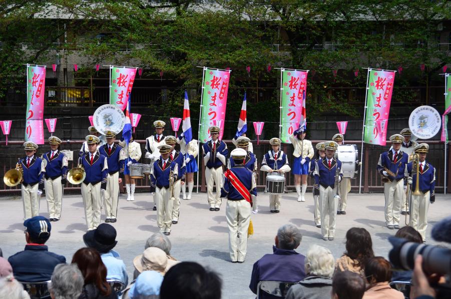 中目黒桜まつり写真