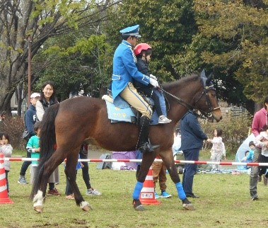 馬に乗る子どもの参加者
