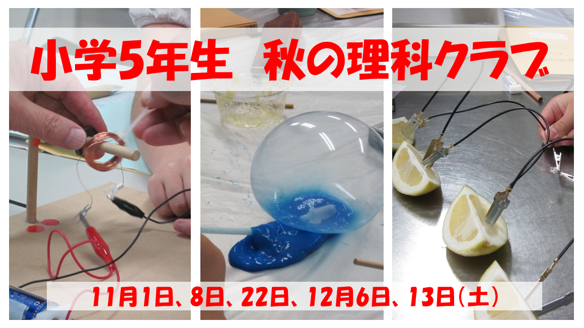 秋の理科クラブ