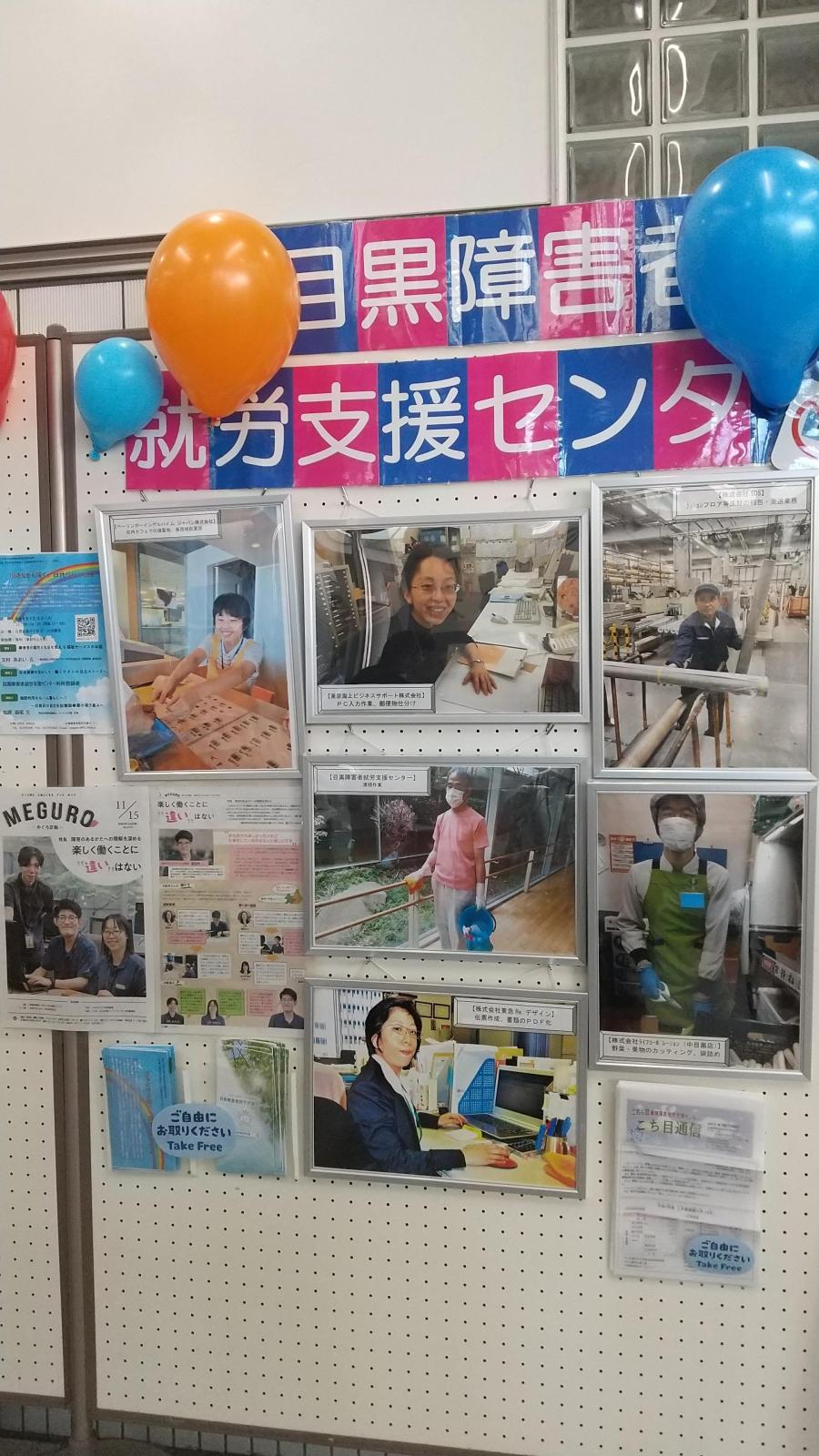 展示様子