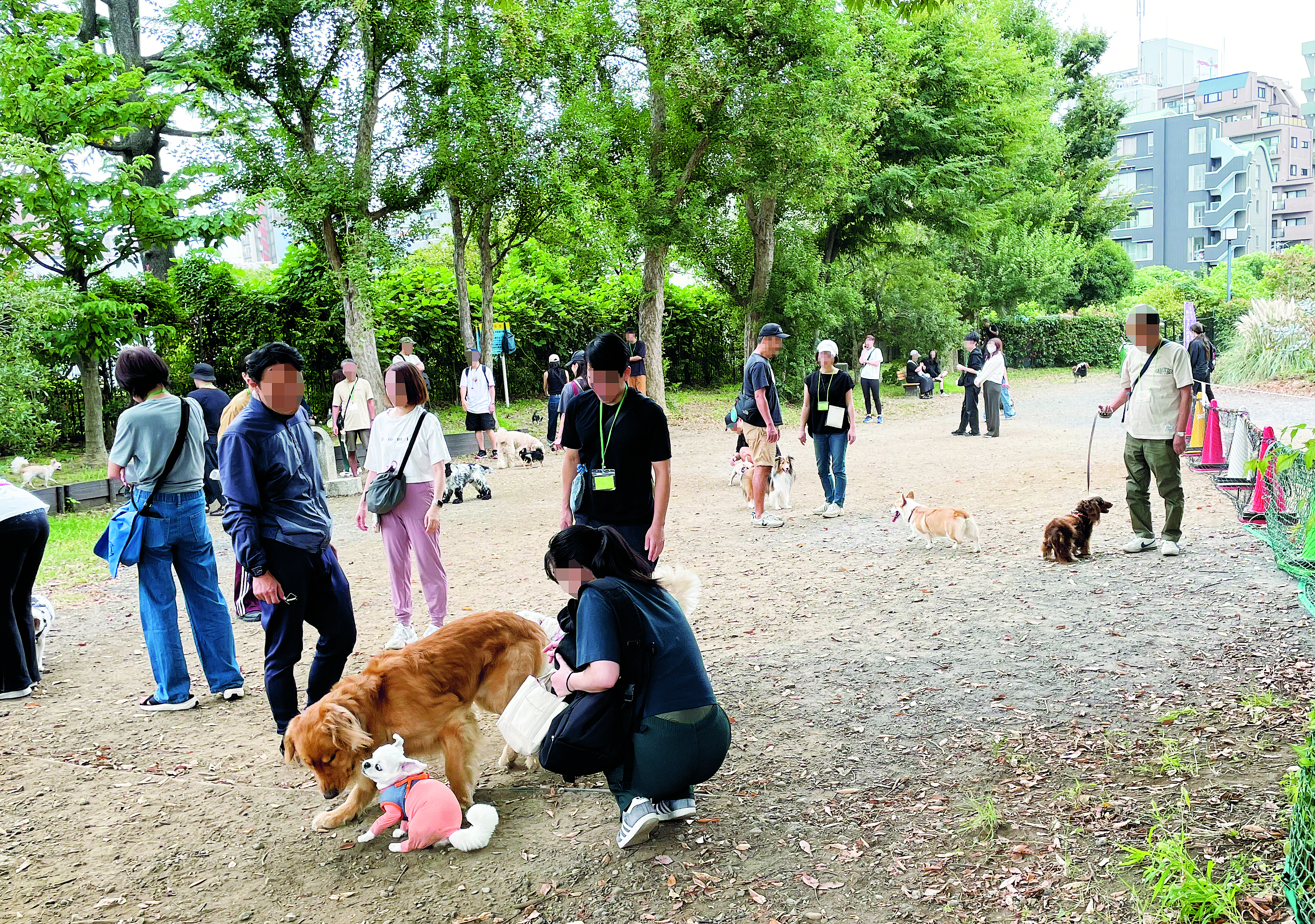 わんわんクラブ