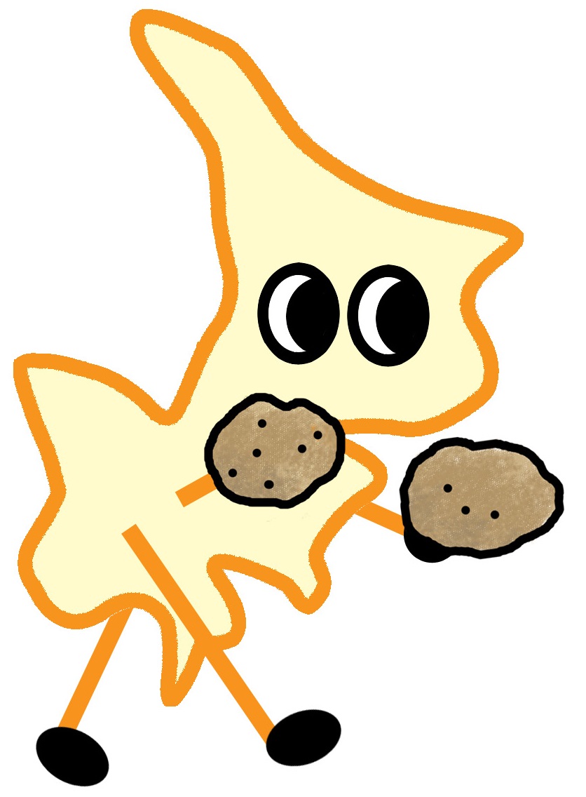 じゃがいもを持つめぐろッチの画像