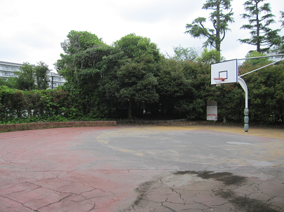 nakamegurokouen_pockethiroba02