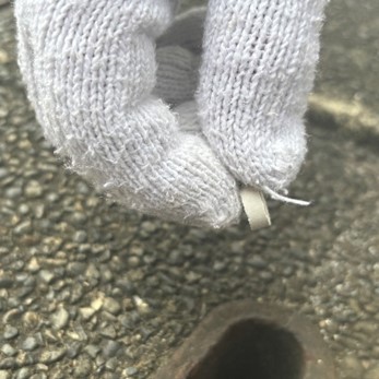 あの天敵とおさらば？　目黒の夏を守る取り組みに密着！