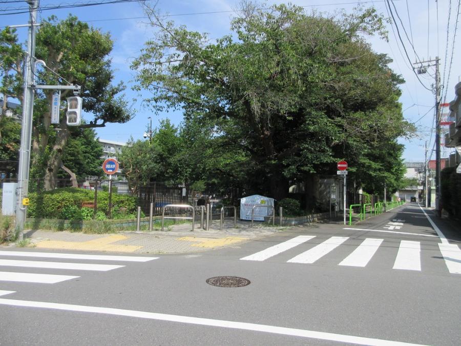 no76_shimizuike.JPG