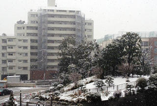 目黒区総合庁舎の築山などの雪景色の画像