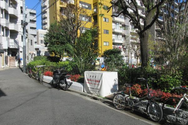 No16大鳥公園内の写真