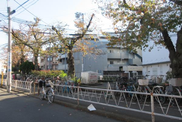 No26呑川本流緑道上の写真