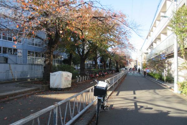 No27呑川本流緑道上の写真