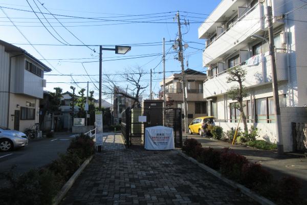 No31九品仏川緑道上の写真