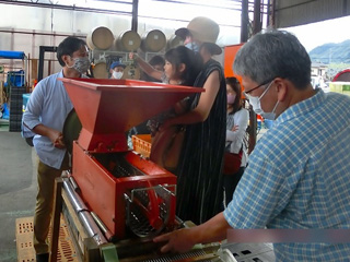 目黒天空庭園栽培ガーデニングクラブ提供の画像