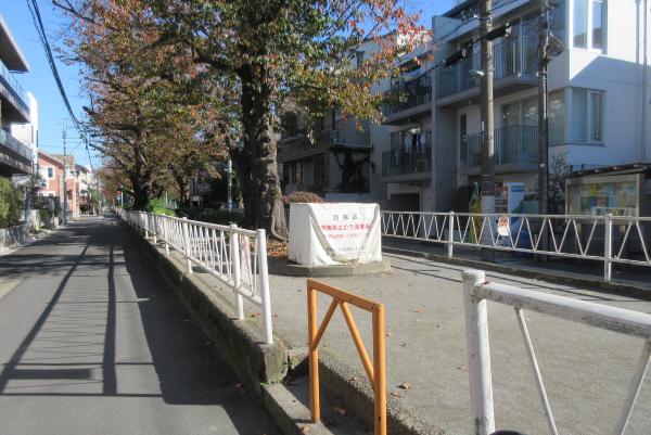 No34呑川本流緑道上の写真