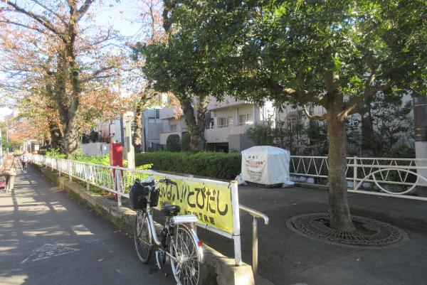 No37呑川本流緑道上の写真