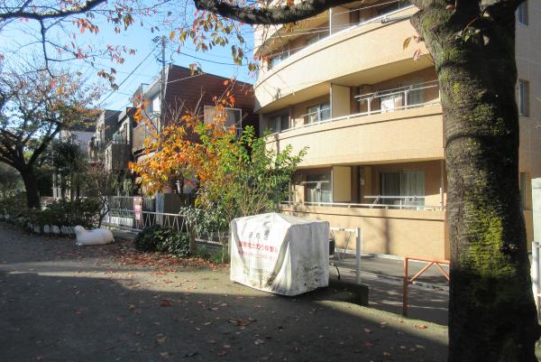 No38呑川本流緑道上の写真