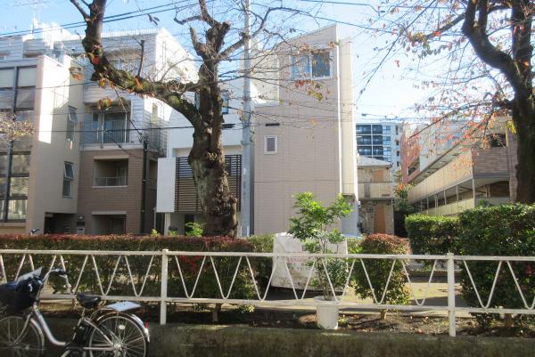 No39呑川本流緑道上の写真