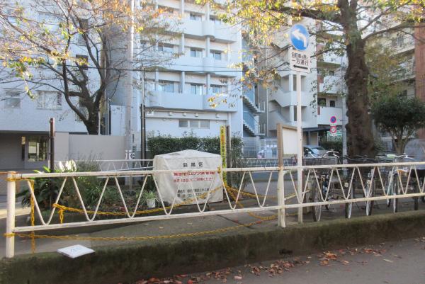 No40呑川本流緑道上の写真