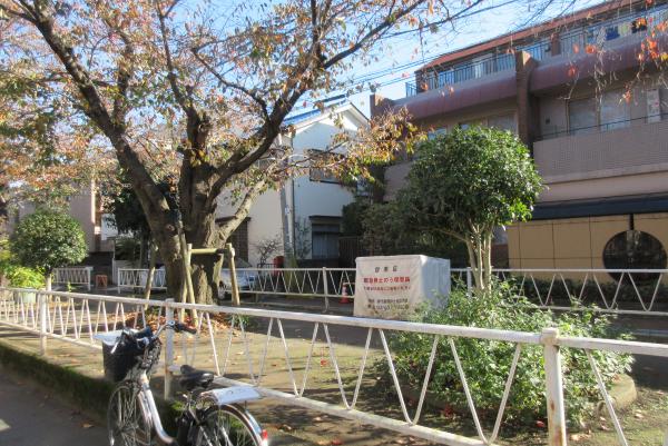 No43呑川本流緑道上の写真