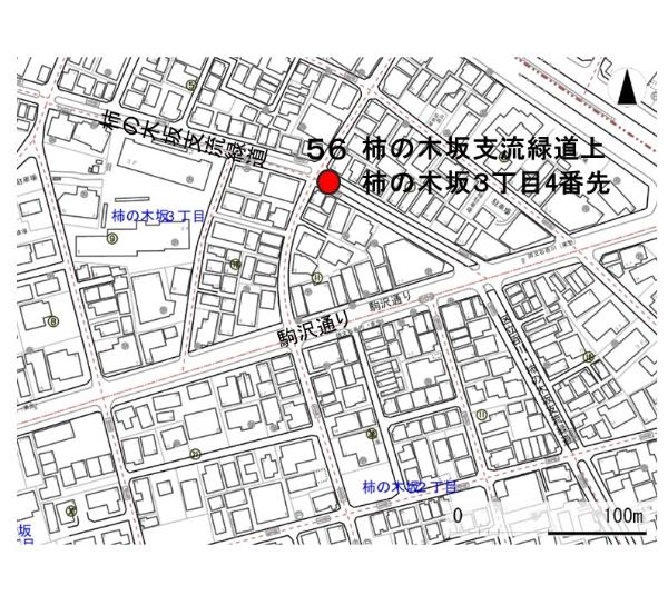 No56柿の木坂支流緑道上の地図
