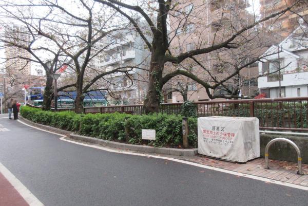 No6朝日橋付近の写真