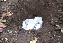 低減措置の写真2