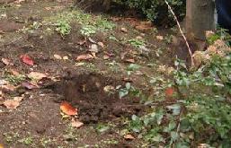 低減措置の写真1