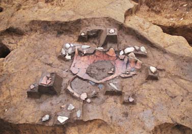 東山貝塚遺跡第27地点の調査状況の写真