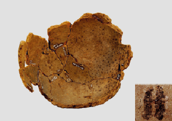 氷川遺跡第1次調査地点の種痕付着土器の写真