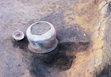 土器塚遺跡第3次調査地点の弥生土器出土状況の写真